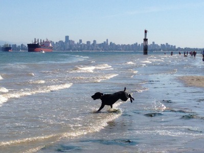 Spanish Banks Pooch Copyright Shelagh Donnelly