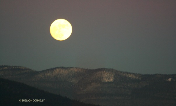 full-moon-rising-2958-copyright-shelagh-donnelly